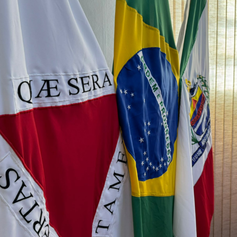 Câmara Municipal de Martinho Campos divulga balanço legislativo do primeiro semestre de 2025