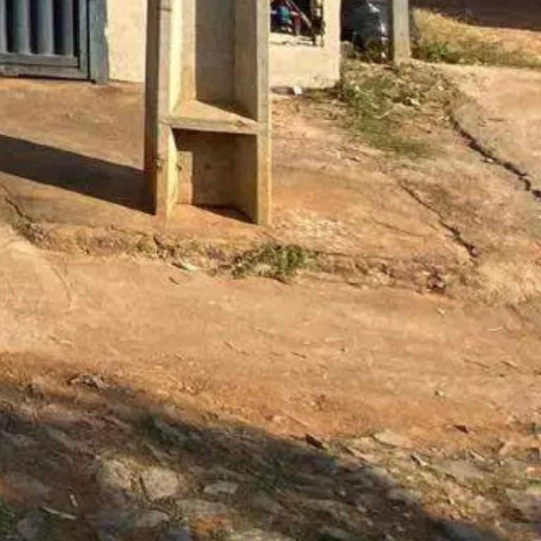 Requerimento solicita levantamento completo sobre pavimentação das vias de Martinho Campos