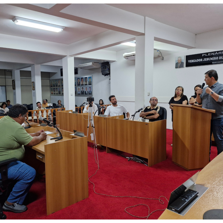 Segurança, infraestrutura e saúde: principais temas da 29ª Reunião da Câmara Municipal